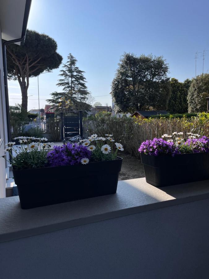 B&B A Due Passi Dal Mare リド・ディ・ポンポーザ エクステリア 写真